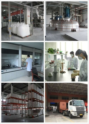 70/30 Powder Coating Polyester Resin For Low Curing Hybrid Powder Coatings